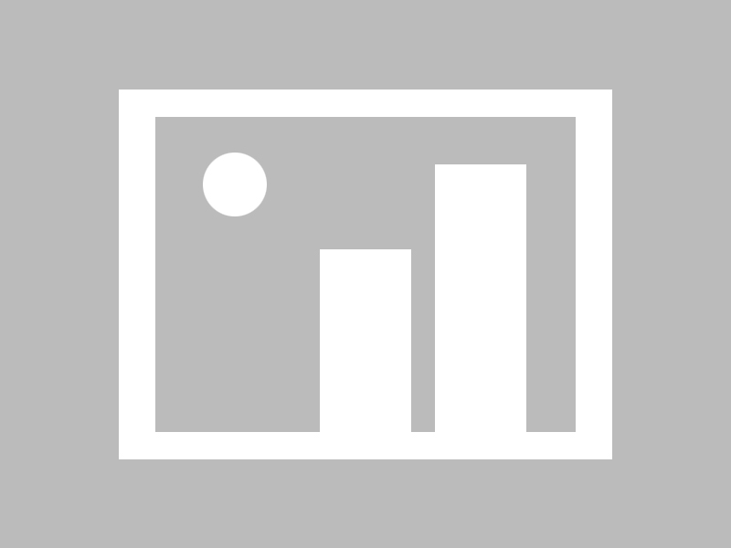 2025年各大体育赛事的投注机会，MK体育提供建议