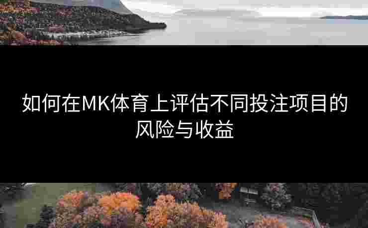 如何在MK体育上评估不同投注项目的风险与收益