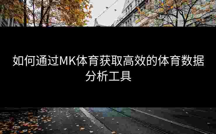 如何通过MK体育获取高效的体育数据分析工具